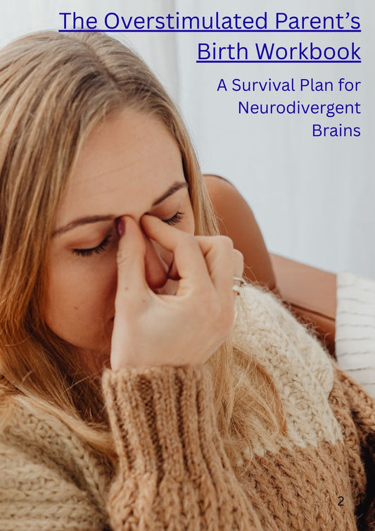 The Overstimulated Mom's Birth Workbook